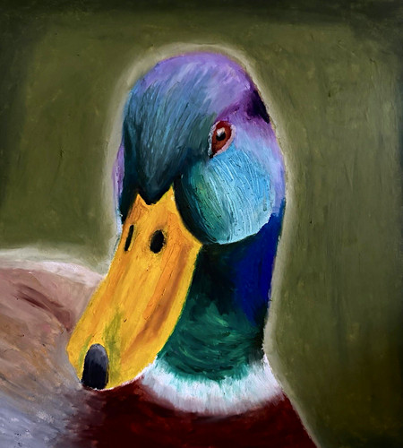 Original aceo duck bird - ||,