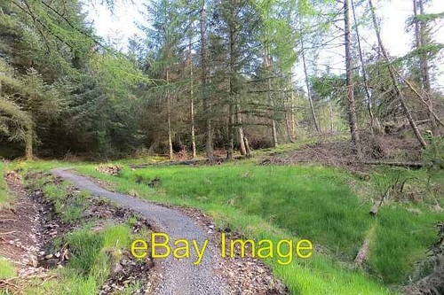 Photo 6x4 mountain bike trail - mountain,