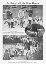 NEW FOREST An Outing with the