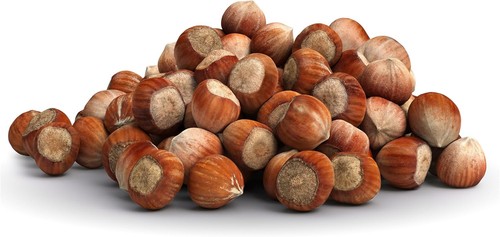 Hazelnuts shells 500g - shells,