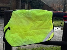 Wyvern Reflective Exercise
