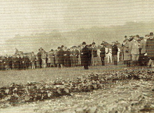 Swaffham hare coursing - hare,