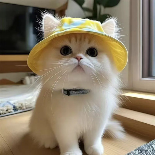 Cute cat sun hat - with, ear