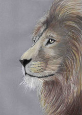Original artwork coloured - original,