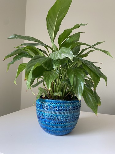 Bitossi rimini blu planter - rimini, by