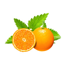 ORANGE MINT 25x SEEDS RARE Fresh Herb Grow Your Own Herbal Fruit Tea Plant 