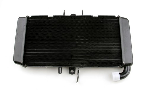 Radiator grille guard - grille, cooler