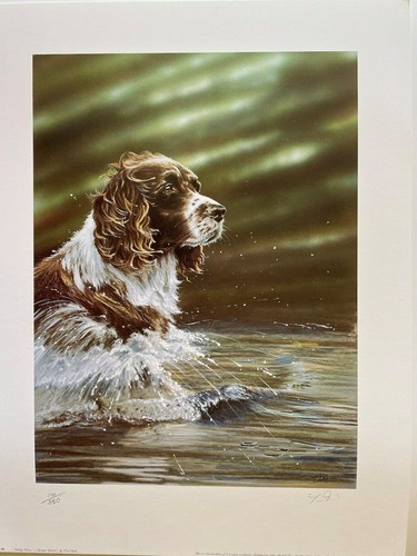 Spaniel dog art - dog,