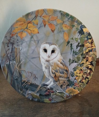 Royal doulton decorative owl - doulton,