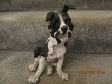 Country Artists A breed Apart