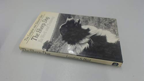 The sheep dog its work - sheep,