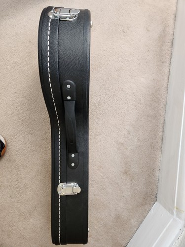 Viking mandolin case style - viking, a
