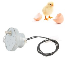 Egg Incubator Motor Stable