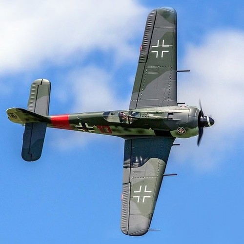 Freewing flightline focke - freewing, wulf