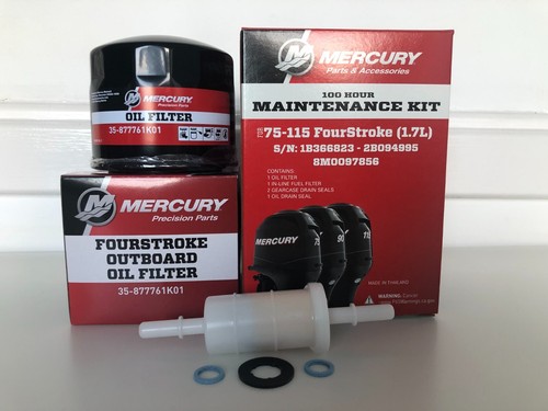 Mercury mariner 100hr - 100hr, service