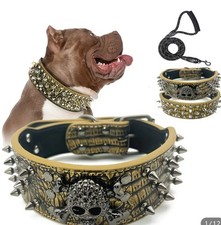 Sharp Spiked Studded Dog