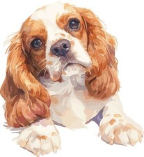 Wandtattoo Aufkleber