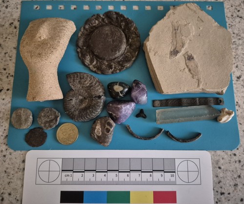 Fossils gemstones coins roman - fossils,