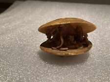 1950s Celluloid Clam Shell