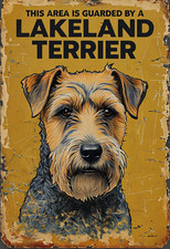 Guarded By A Lakeland Terrier