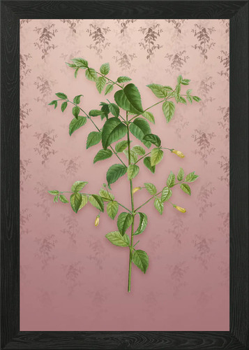 Vintage tree fuchsia framed - vintage,