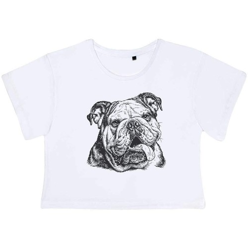English bulldog portrait - 'english, portrait'