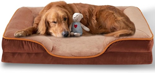 Scratch proof dog bed - scratch-proof,