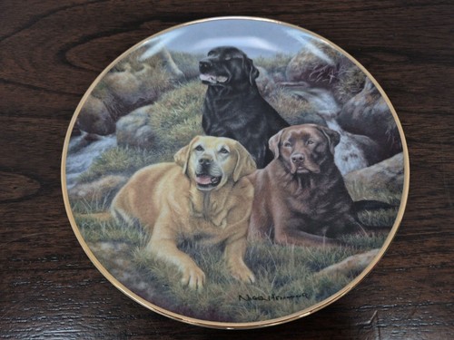 Franklin mint labrador - franklin,