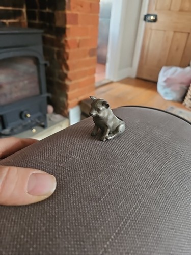 Old edwardian novelty - old,