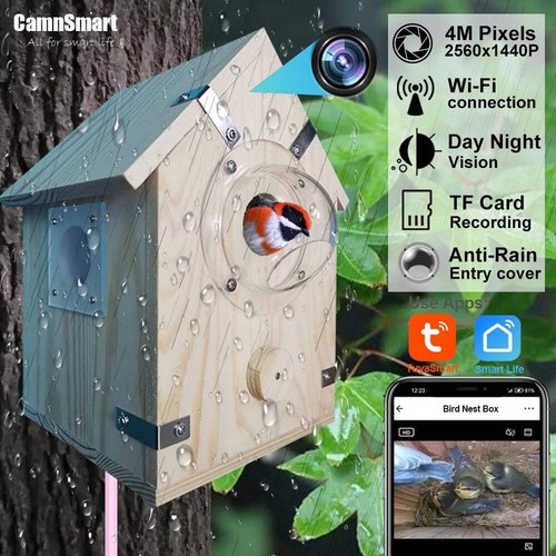 4mp bird camera wifi parrot - bird,