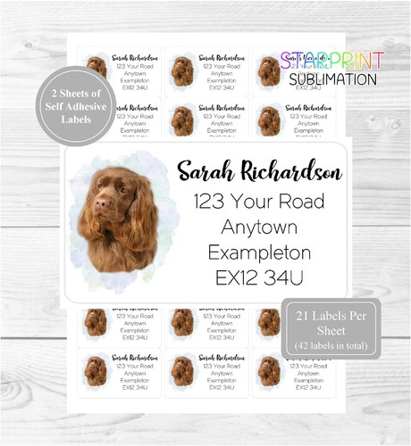 Sussex spaniel dog - sussex,