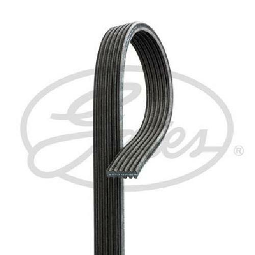 Original gates ribbed belt - original,
