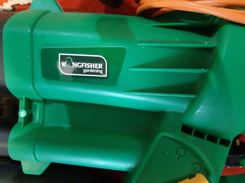 Electric blower vac