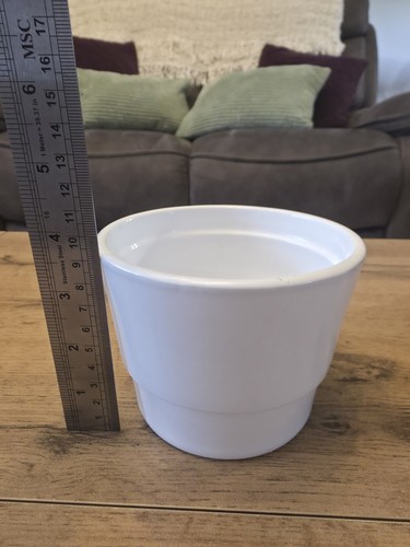 White glazed terracotta plant - glazed,