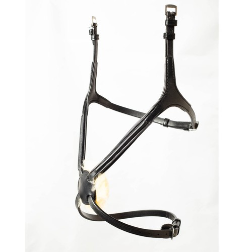 Ecorider comfort grackle - ecorider,
