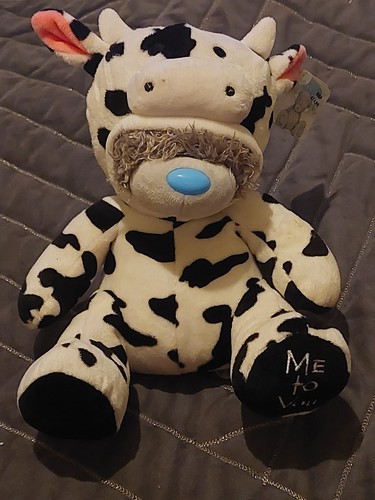 You tatty teddy - tatty,