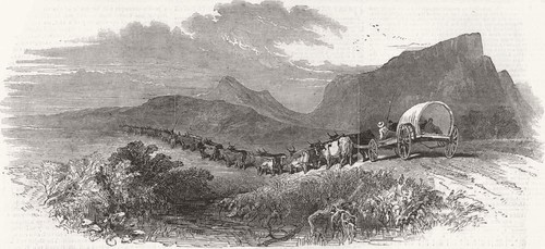 South africa cape waggon - waggon, 1850