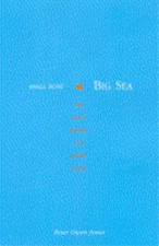 Small Boat Big Sea: One Year's