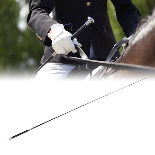 Horse riding crop training aid - horse,