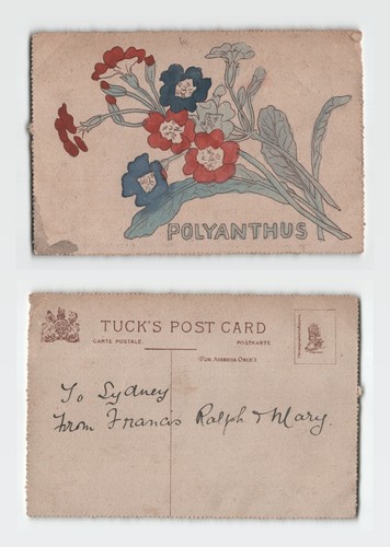 Postcard tuck s polyanthus - postcard,