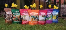 Lava lite pot topper gnats - pot, no-gnats