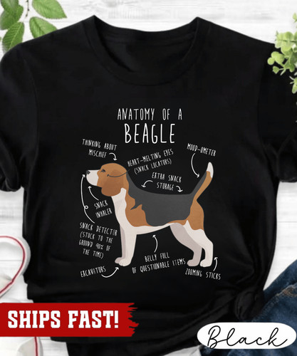 Beagle shirt women - shirt,, women,