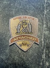 CRIB 19 KT3 Attached US Army