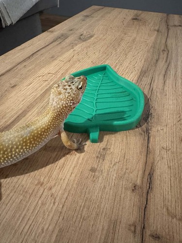 Leaf reptile feeding dish - leaf,