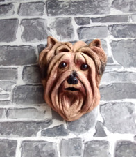 Stone painted yorkshire - stone,