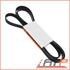 V-RIBBED BELT FOR PEUGEOT 206