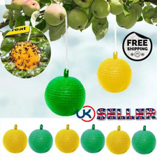 Fruit fly balls - fly,