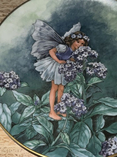 The heliotrope fairy flower - heliotrope,