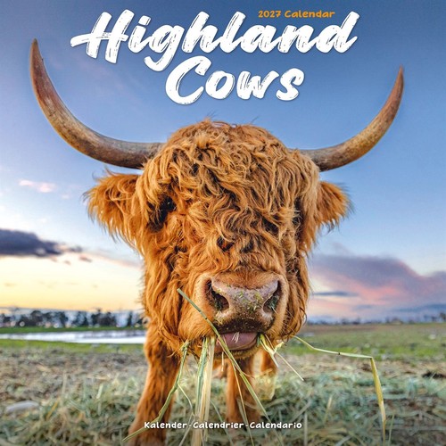 Highland cows calendar 2027 - highland,