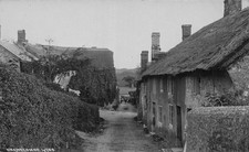 POSTCARD DEVON   BRANSCOMBE